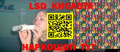 apvp Коммунар